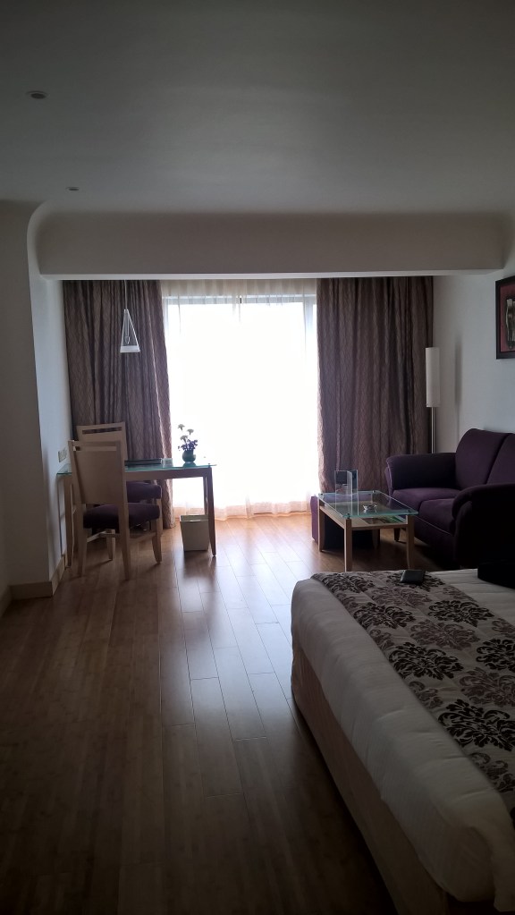 WP_20150720_13_18_57_Pro